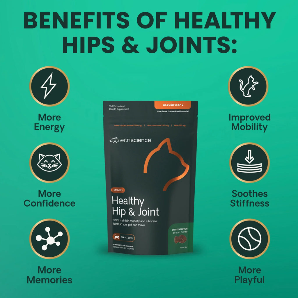 Healthy Hip & Joint for Cats by VetriScience