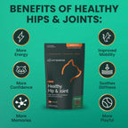 Healthy Hip & Joint for Cats by VetriScience