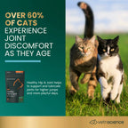 Healthy Hip & Joint for Cats by VetriScience
