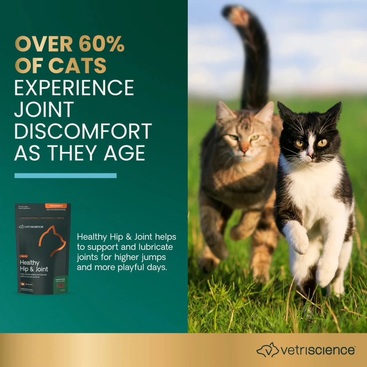 Healthy Hip & Joint for Cats by VetriScience