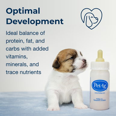 PetAg Esbilac Healthy Development Nutritional Supplement for Dogs and Weaning Puppies,"Puppy beside baby bottle with nipple insert"