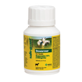 Safe-Guard® Dewormer for Goats Cattle,"White bottle with yellow label and white cap"