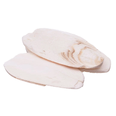 Cuttlebone,"Two overlapping oval cuttlebone pieces"