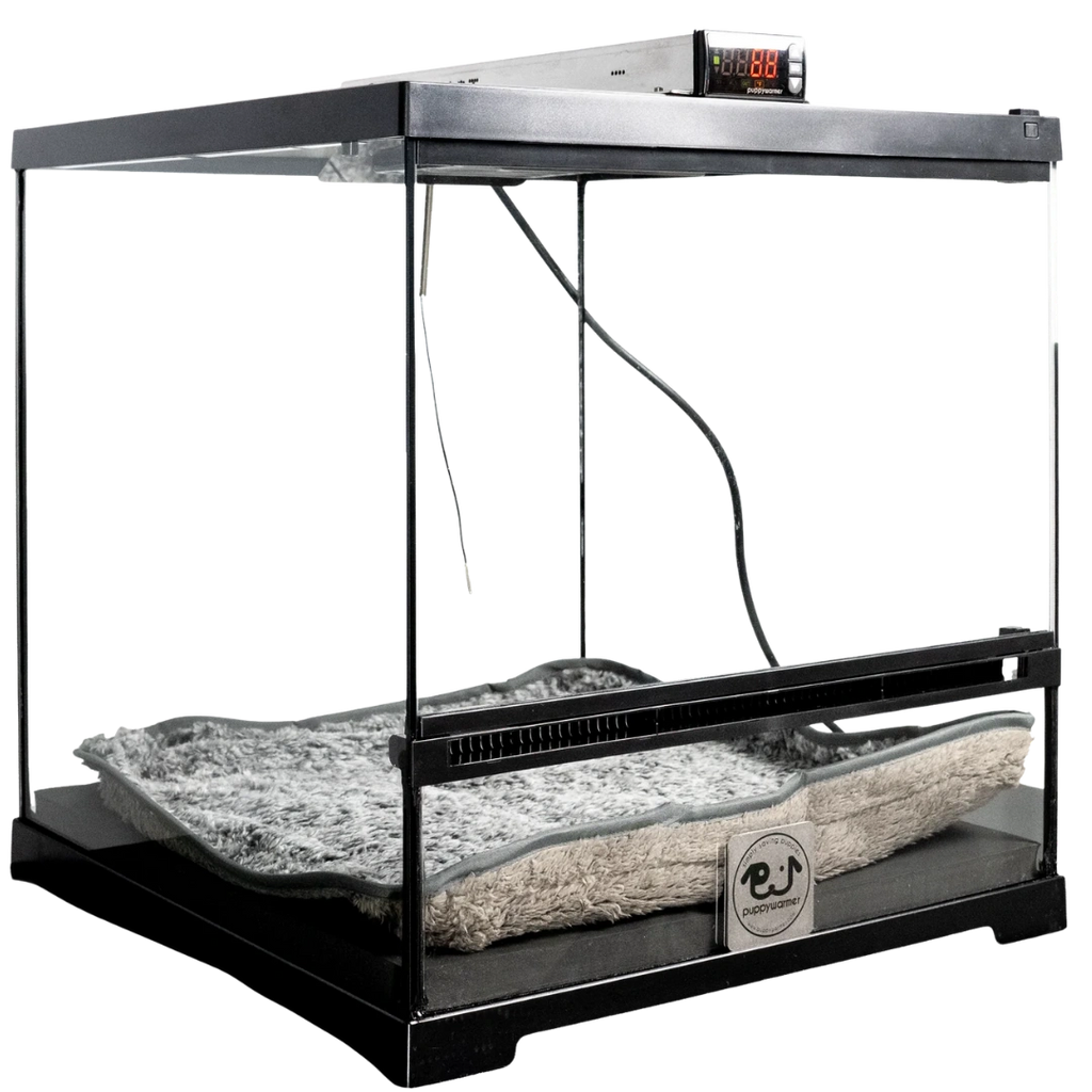 Puppywarmer® Puppy Incubator,"Black glass-front incubator with digital controls and plush bed"