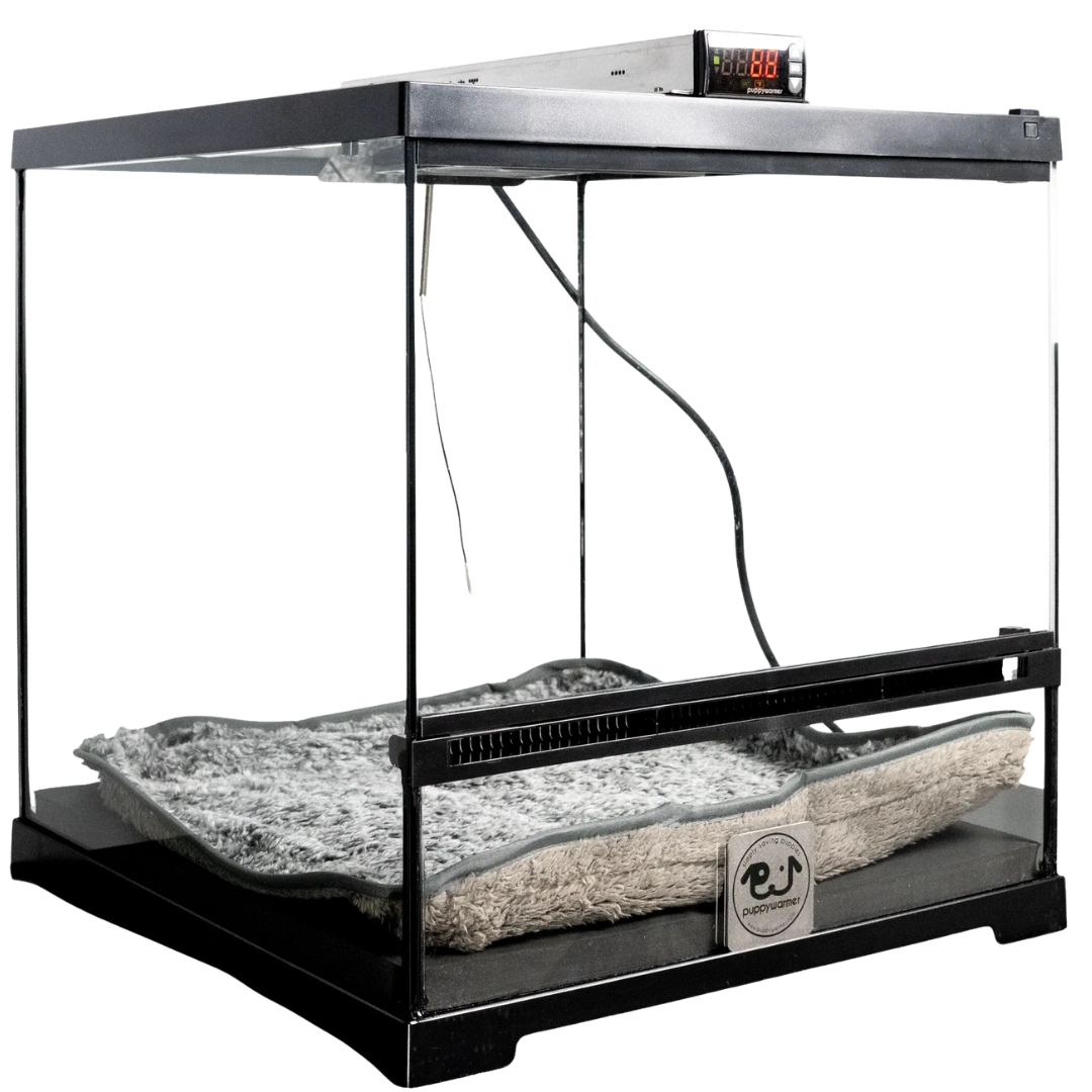 Puppywarmer® Puppy Incubator,"Black glass-front incubator with digital controls and plush bed"