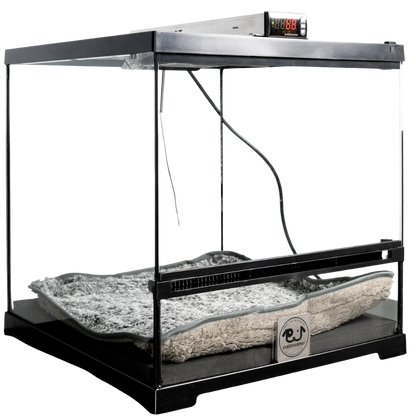 Puppywarmer® Puppy Incubator,"Black glass-front incubator with digital controls and plush bed"