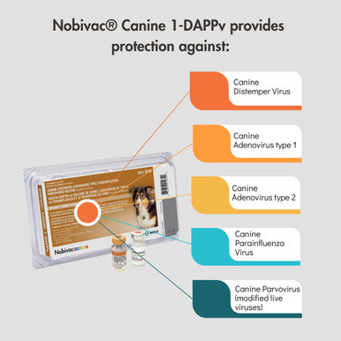 Nobivac® Canine 1-DAPPv Vaccine for Dogs (5-Way),"Vaccine box with two small vials"