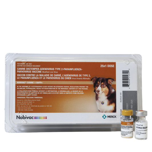 Nobivac® Canine 1-DAPPv Vaccine for Dogs (5-Way)