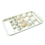 Max-20 Incubator by Rcom USA