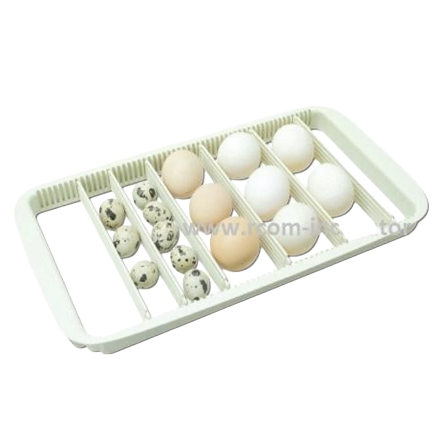 Max-20 Incubator by Rcom USA