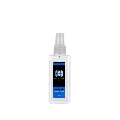 Maschio Fragrance
