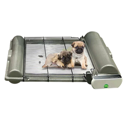 BrilliantPad Grate,"Gray slatted pet grate with two puppies on top"