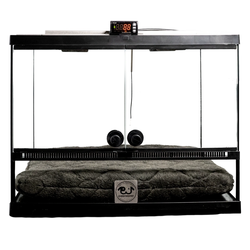 Puppywarmer® Puppy Incubator,"Glass-front incubator with digital control panel and gray cushion"