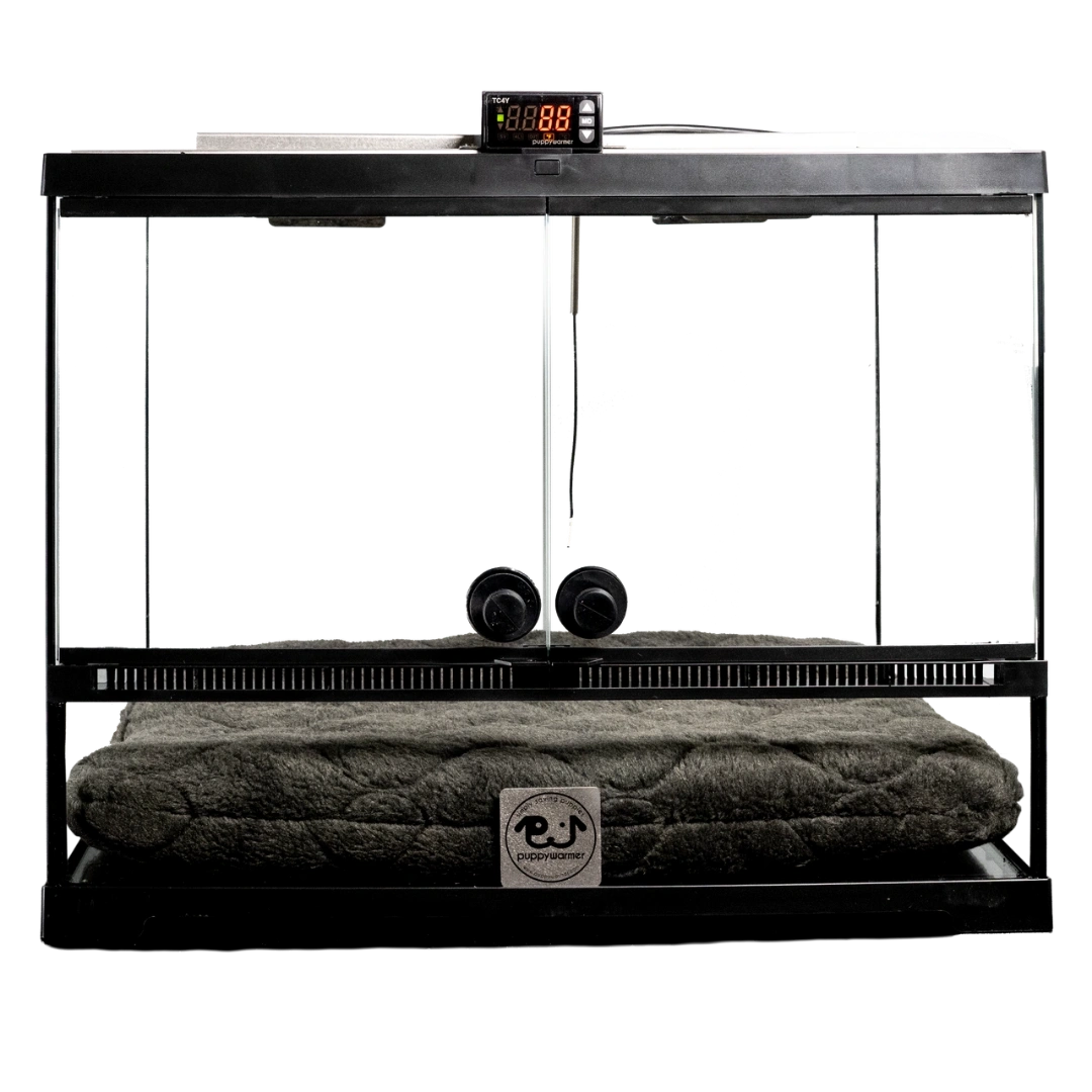Puppywarmer® Puppy Incubator,"Glass-front incubator with digital control panel and gray cushion"