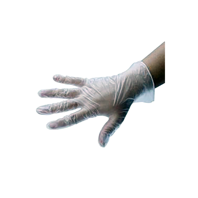 Safe Touch Vinyl Gloves,"Hand wearing a clear disposable glove"