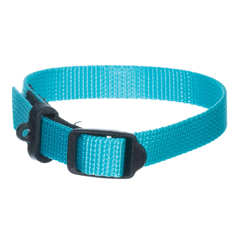 Breeder's Edge® ID Me™ Perfect Fit Collar,"Blue nylon pet collar with black buckle and D-ring"