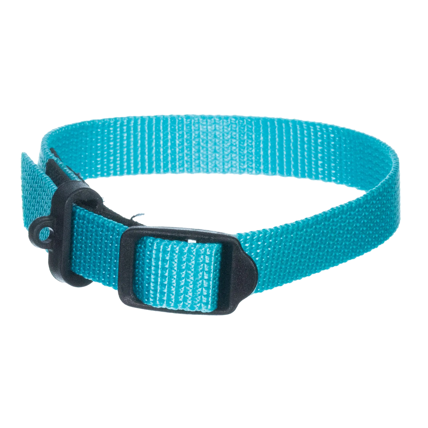 Breeder's Edge® ID Me™ Perfect Fit Collar,"Blue nylon pet collar with black buckle and D-ring"
