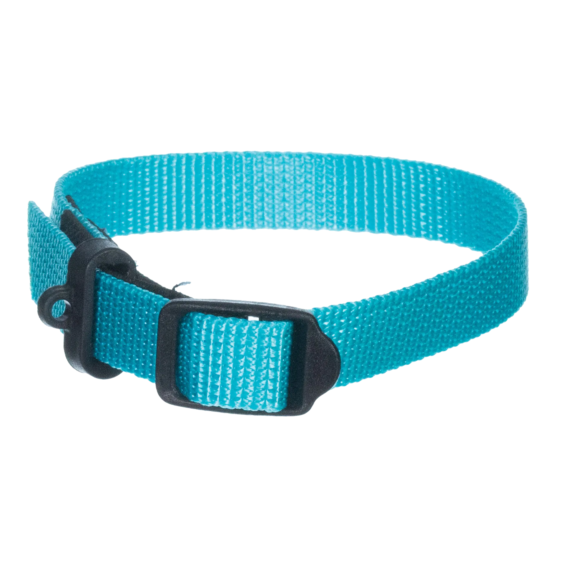 Breeder's Edge® ID Me™ Perfect Fit Collar,"Blue nylon pet collar with black buckle and D-ring"