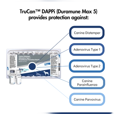 TruCan™ DAPPi (Duramune Max 5),"Vaccine box with vial and callout labels showing disease coverage"