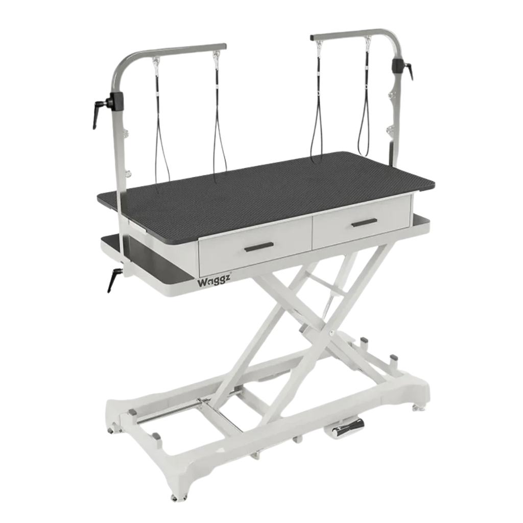 "50"" Dog Grooming 908P Electric Table with Drawer by Waggz","Electric grooming table with black top, arm, loops, and two drawers"