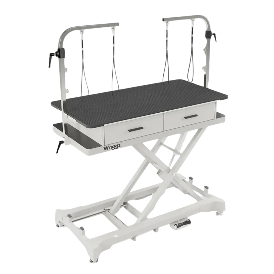"50"" Dog Grooming 908P Electric Table with Drawer by Waggz","Electric grooming table with black top, arm, loops, and two drawers"