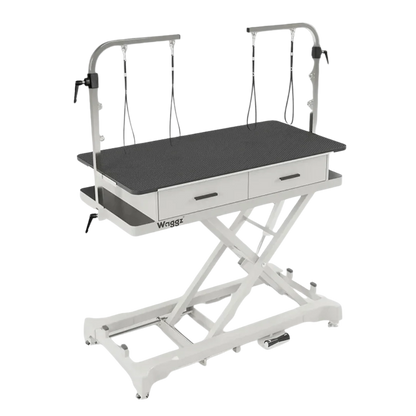 "50"" Dog Grooming 908P Electric Table with Drawer by Waggz","Electric grooming table with black top, arm, loops, and two drawers"