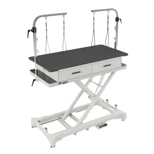"50"" Dog Grooming 908P Electric Table with Drawer by Waggz","Electric grooming table with black top, arm, loops, and two drawers"