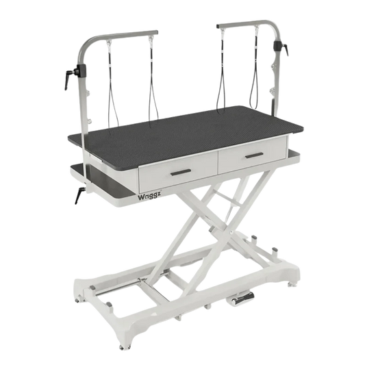 "50"" Dog Grooming 908P Electric Table with Drawer by Waggz","Electric grooming table with black top, arm, loops, and two drawers"