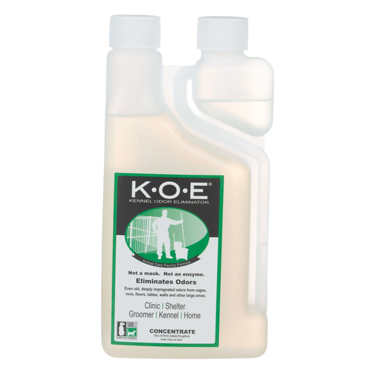 KOE® Kennel Odor Eliminator,"Front view of gallon bottle with handle and screw cap"