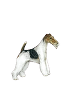 The Terrier Grooming Chart Book by Sam Kohl,"Illustration of a wire fox terrier in side profile"