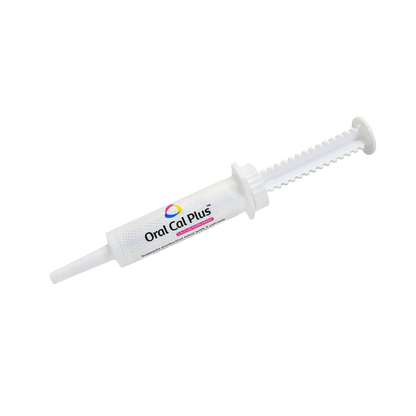 Queening Bundle,"White dosing syringe with plunger and tapered tip"