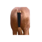 Next Generation Modified Tail Wrap,"Rear view of animal hindquarters with black tail wrap"