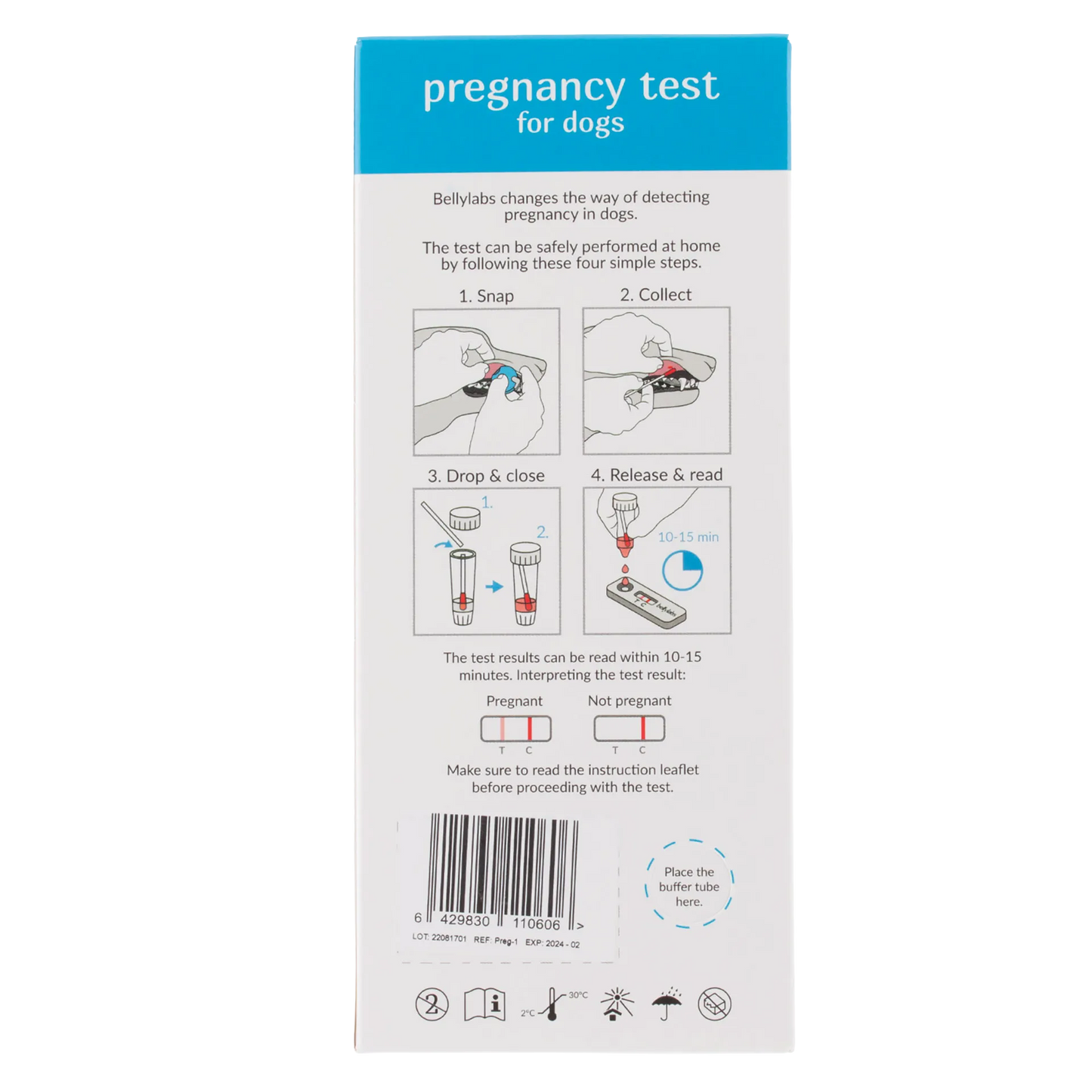 BellyLabs® Canine Pregnancy Test,"Back of test kit box with illustrated use instructions"