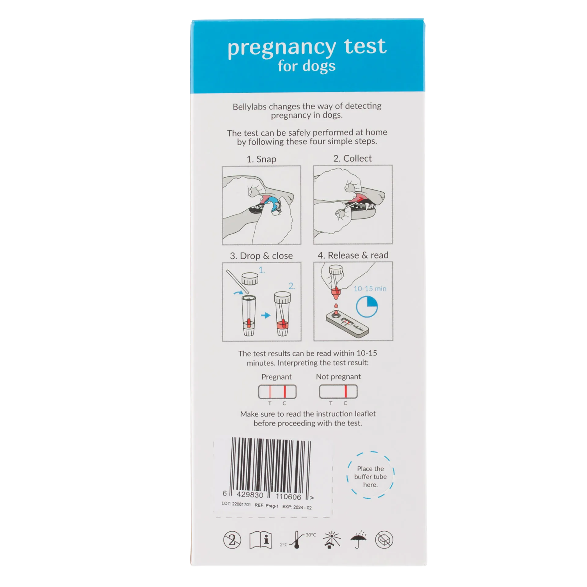 BellyLabs® Canine Pregnancy Test,"Back of test kit box with illustrated use instructions"