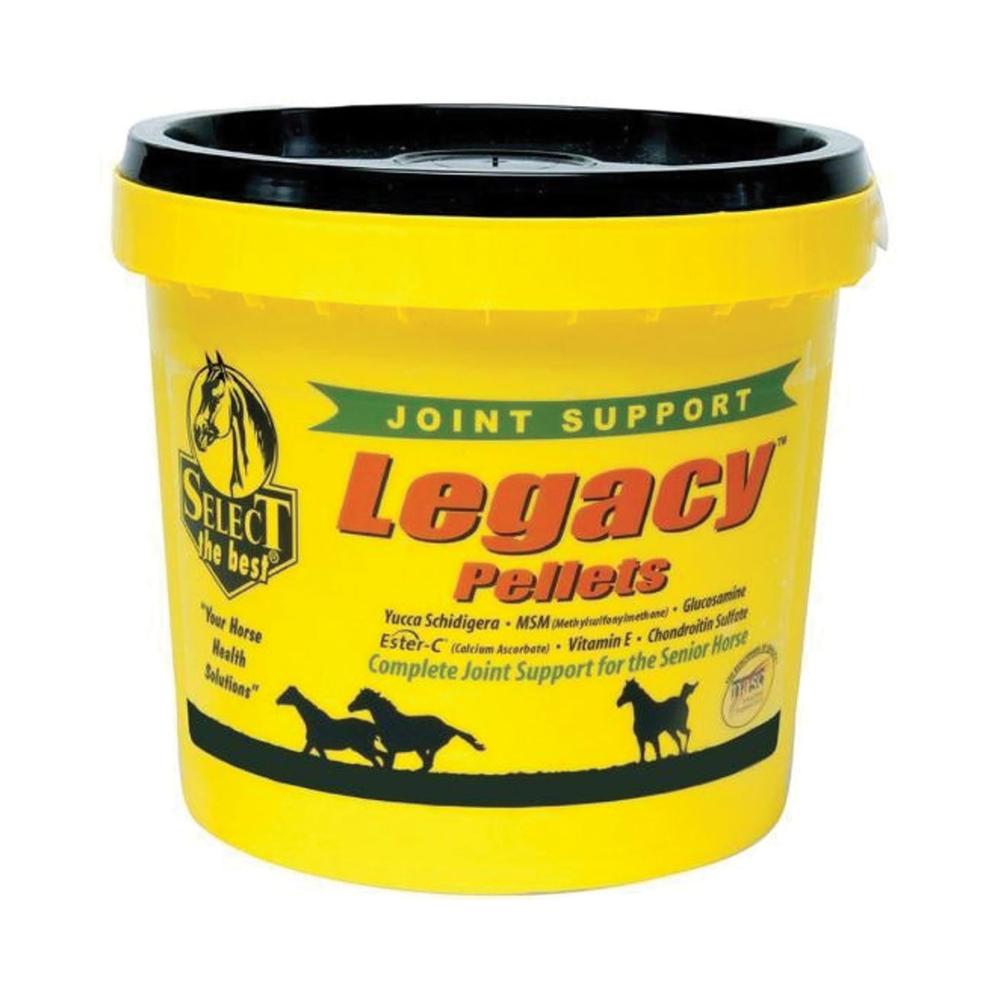 Legacy Joint Support for Senior Horses,"Yellow plastic tub with black lid"