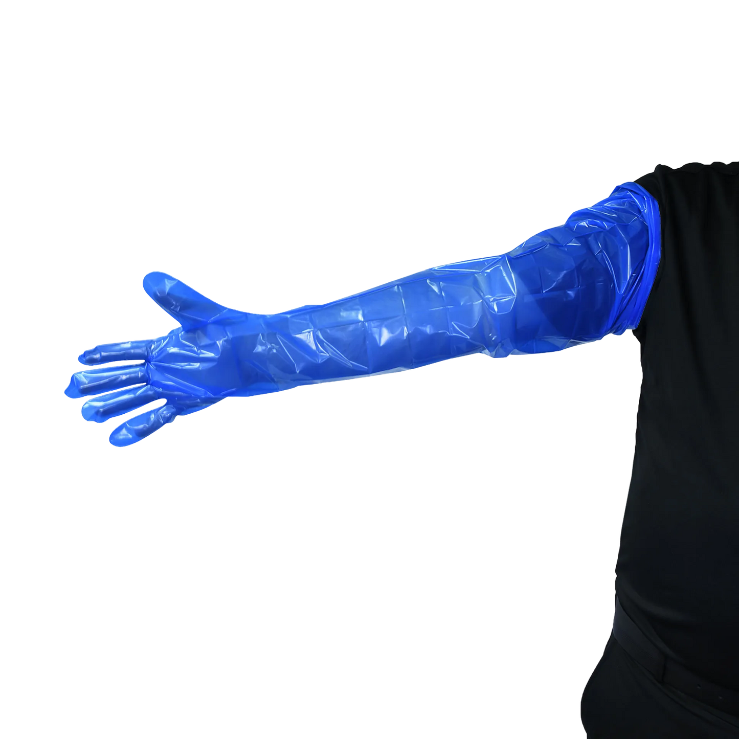 Sterile Insemination Sleeve,"Blue shoulder-length sleeve worn on arm"