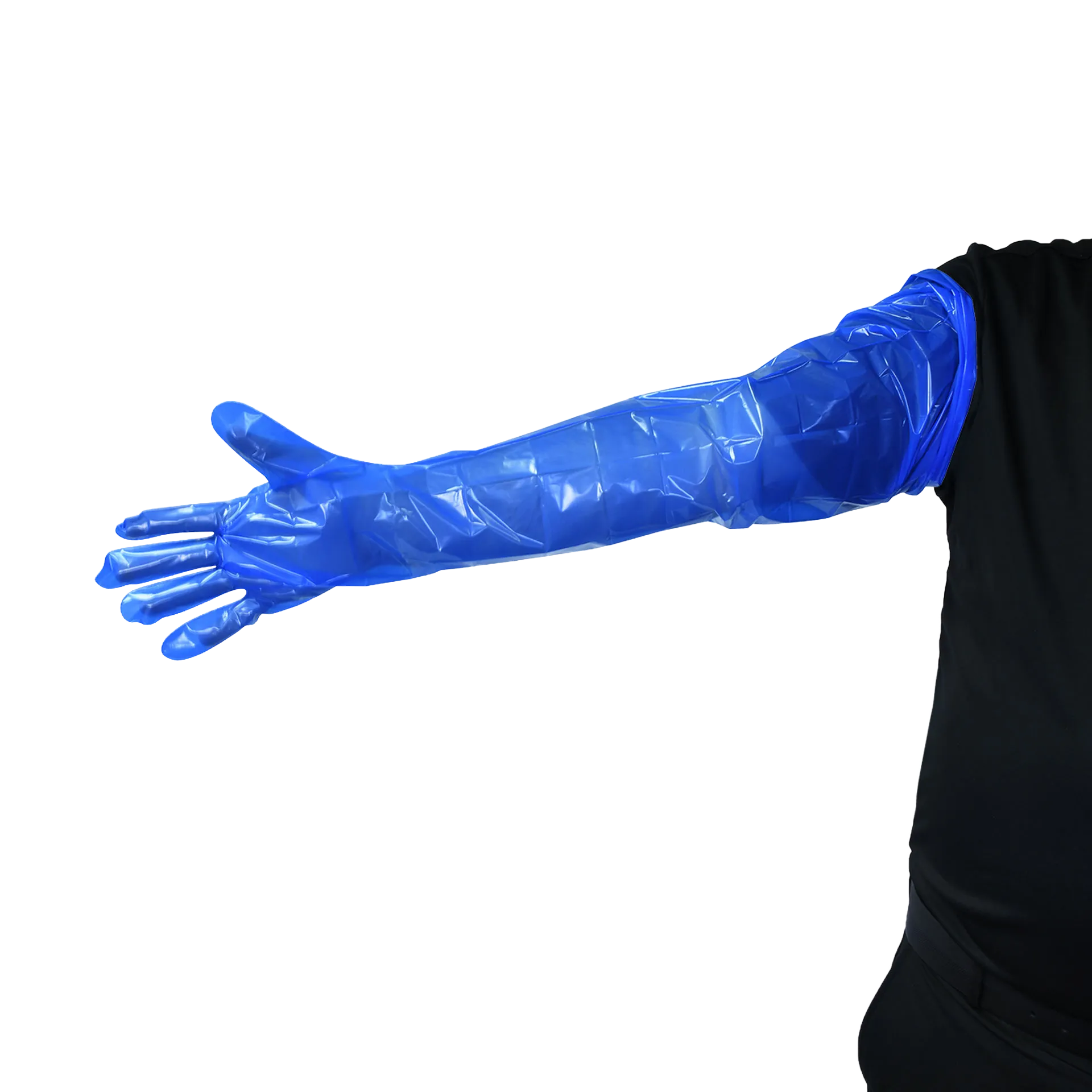 Sterile Insemination Sleeve,"Blue shoulder-length sleeve worn on arm"