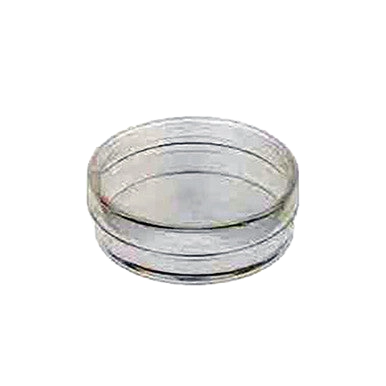 Petri Dish 10 x 35 mm,"Clear shallow petri dish with lid"