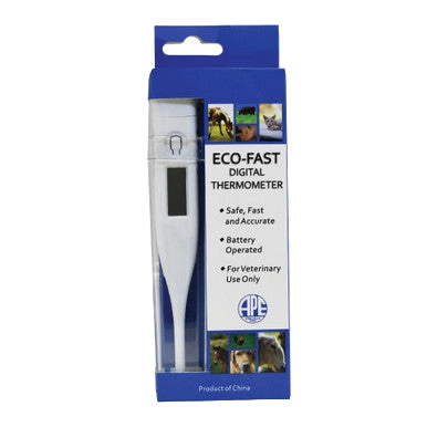 Digital Thermometer,"Blue retail packaging with digital thermometer visible"