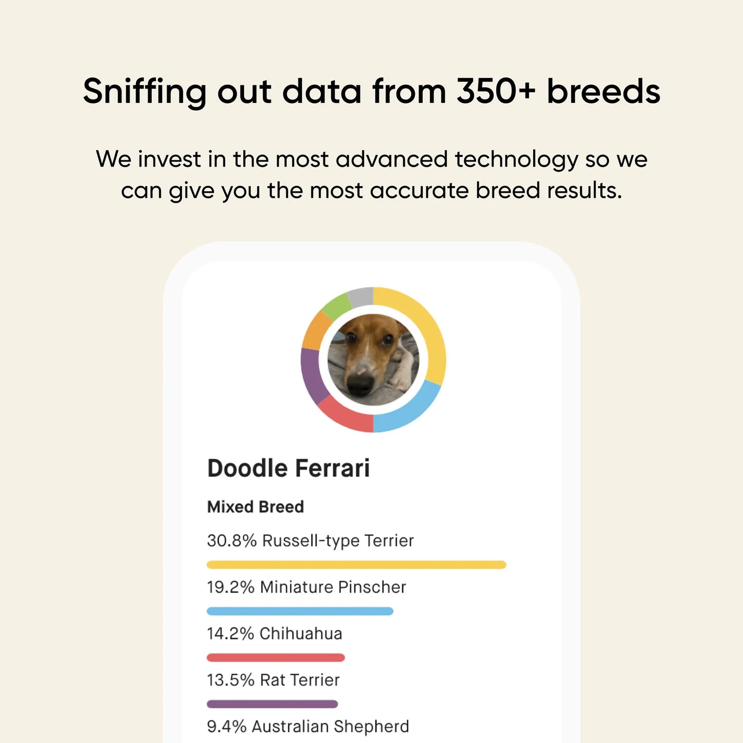 Embark® for Breeders Dog DNA Test Kit,"Dog photo beside breed pie chart graphic"