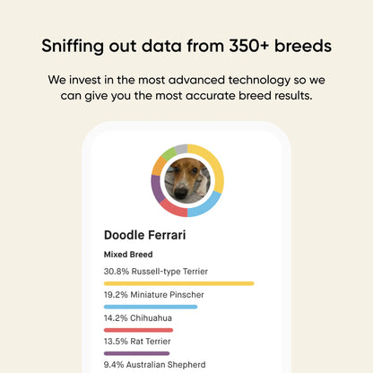 Embark® for Breeders Dog DNA Test Kit,"Dog photo beside breed pie chart graphic"