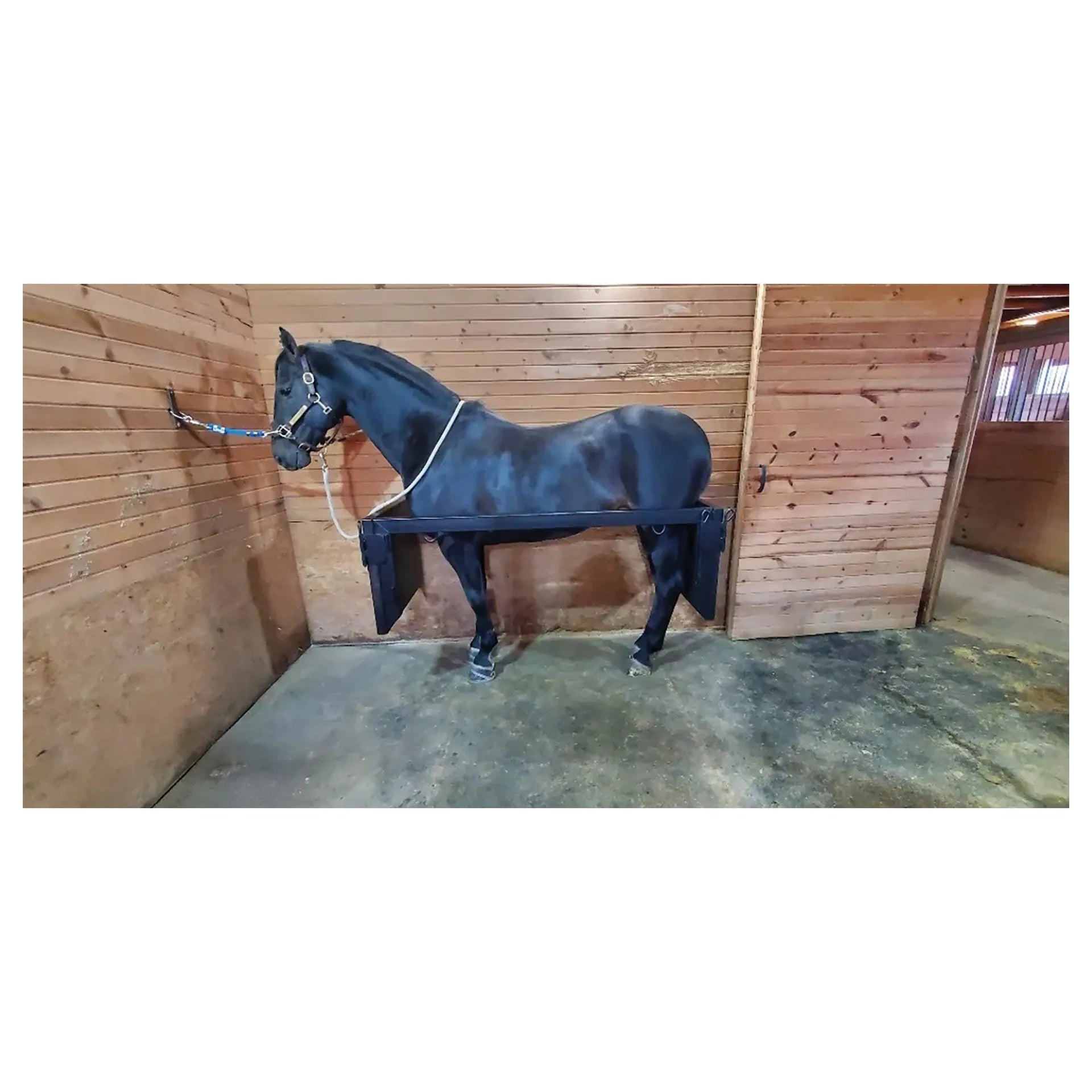 Stall Stocks Uni,"Black stall stocks around horse in barn aisle"