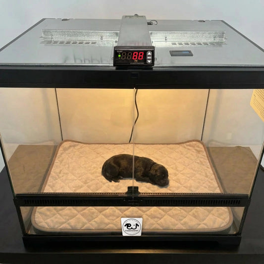 Puppywarmer Incubator Pee Pad,"Quilted pee pad inside glass incubator with sleeping puppy"
