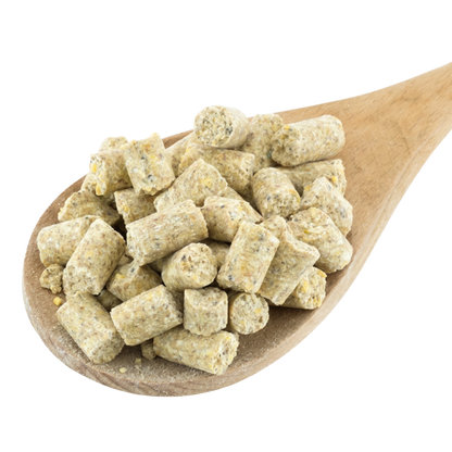 Lafeber Premium Daily Diet Bird Food,"Pellet bird food pieces in a wooden spoon"