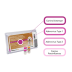 Nobivac® Canine 1-DAPPVL4,"Box with two vials and callout labels"