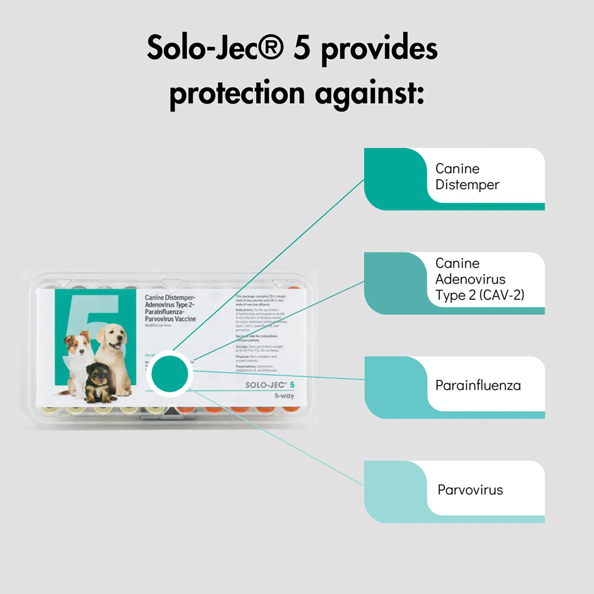 Solo-Jec® 5 Vaccine for Dogs,"Package tray with vaccine vials and disease graphic"