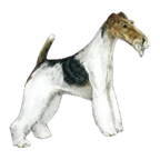 The Terrier Grooming Chart Book by Sam Kohl