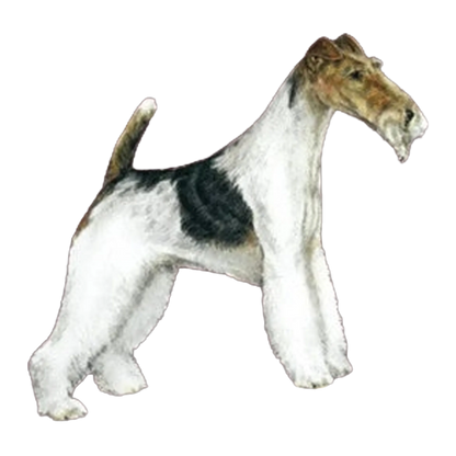 The Terrier Grooming Chart Book by Sam Kohl