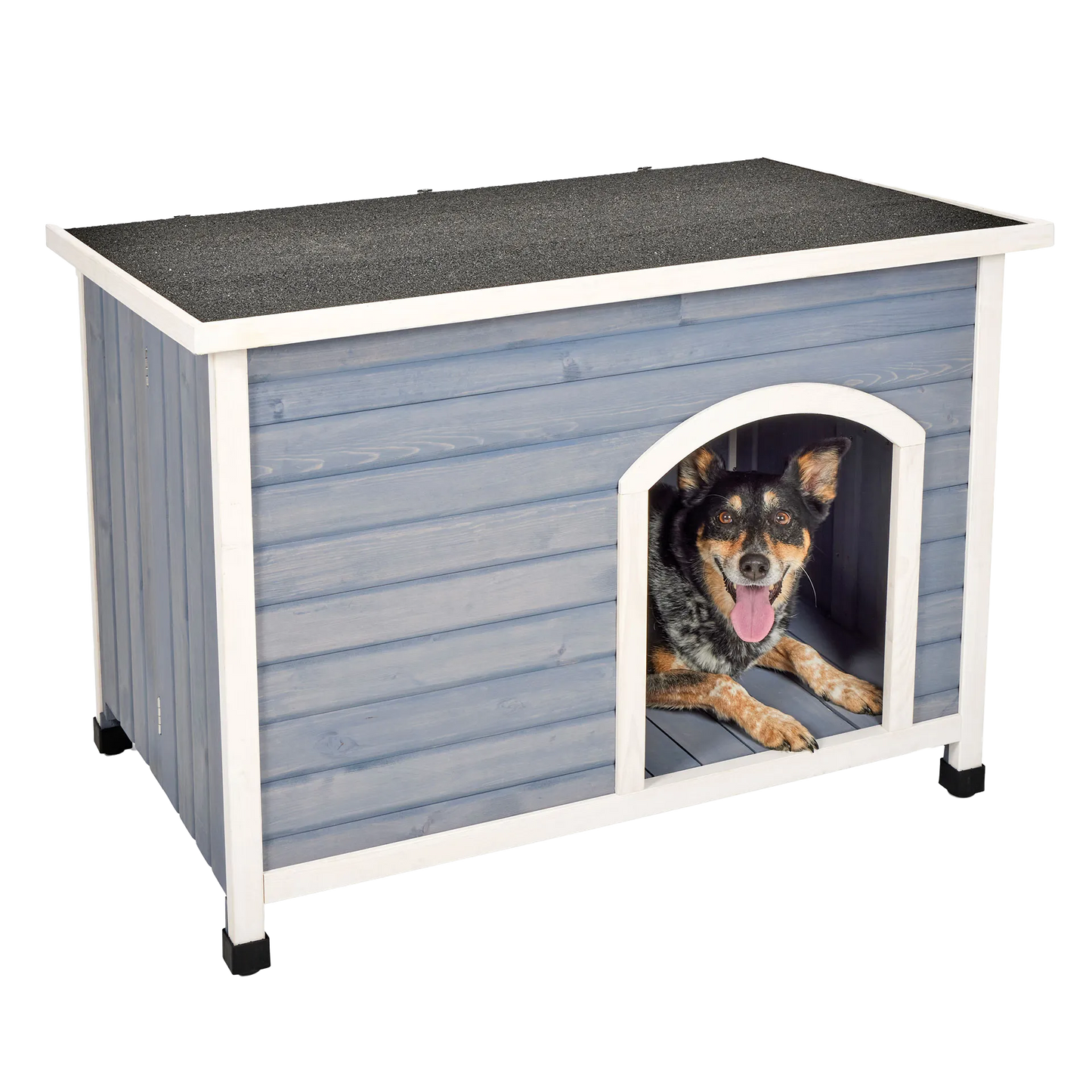 Eilio™ Folding Wood Dog Home,"Blue wooden dog house with black roof and dog inside"