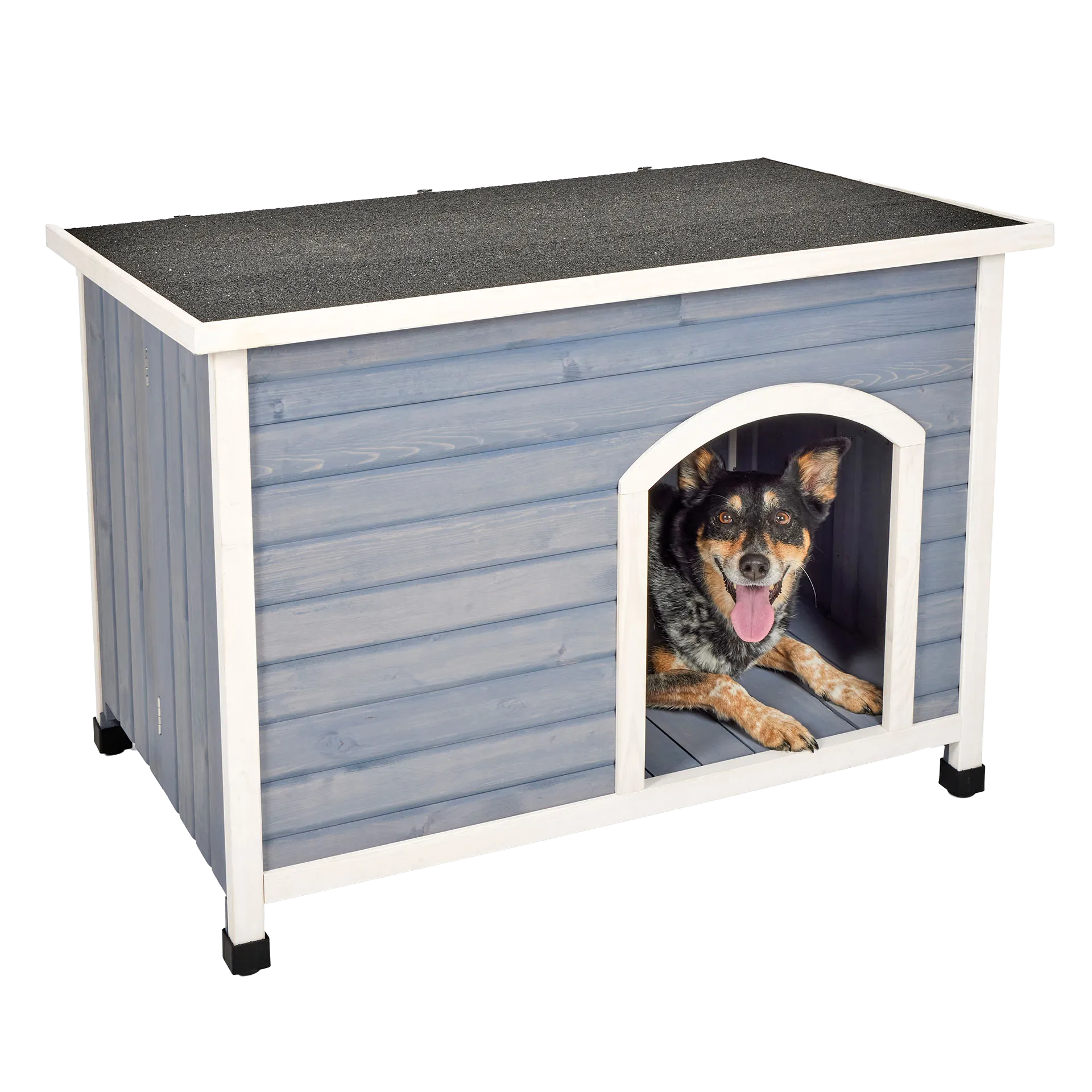 Eilio™ Folding Wood Dog Home,"Blue wooden dog house with black roof and dog inside"